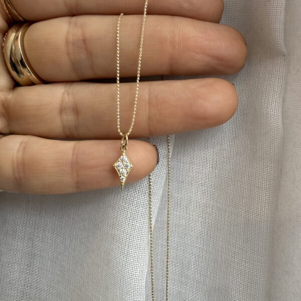 שרשרת אלינוי