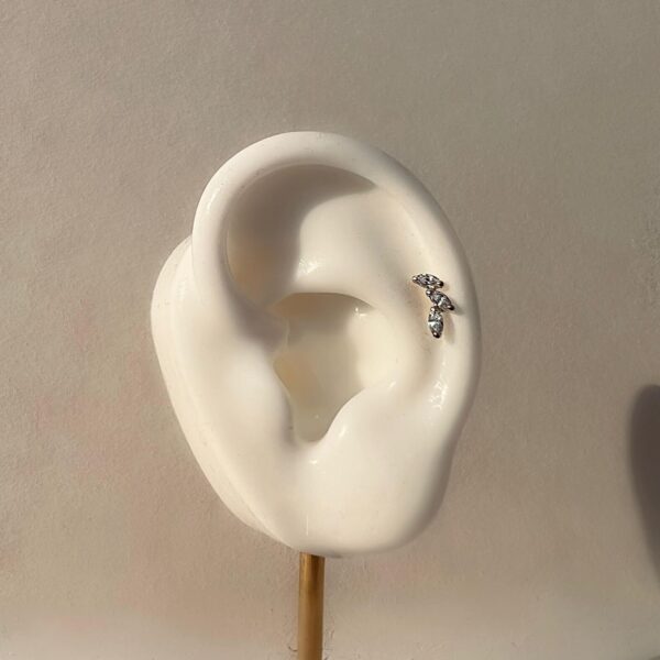 פירסינג ג'ולייט