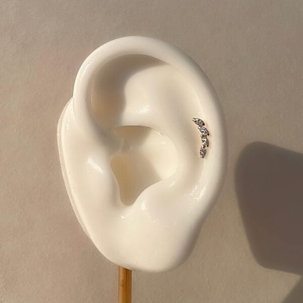 פירסינג קלריס