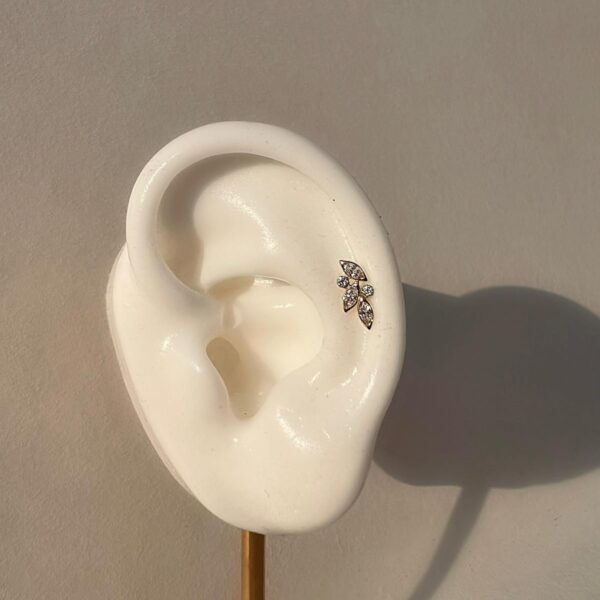 פירסינג עלים