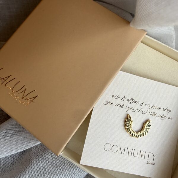 סיכת כנפיים